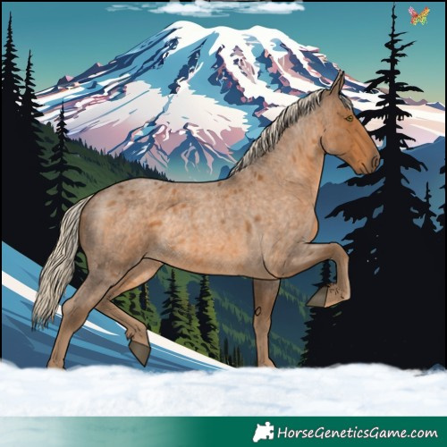Horse Color:Chocolate Palomino Roan Rabicano 