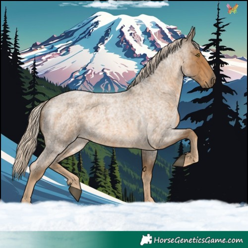 Horse Color:Chocolate Palomino Roan 