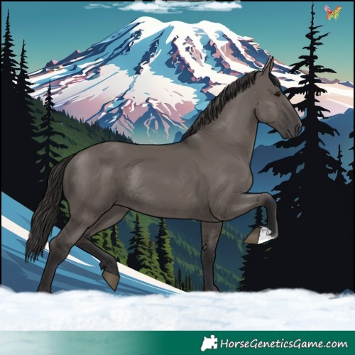 Horse Color:Smoky Grullo Rabicano 