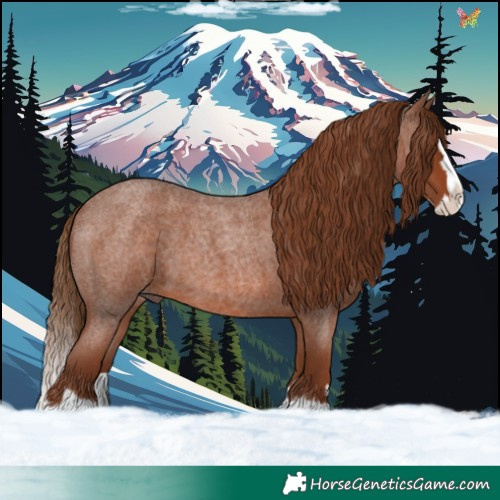 Horse Color:Red Roan Splash 