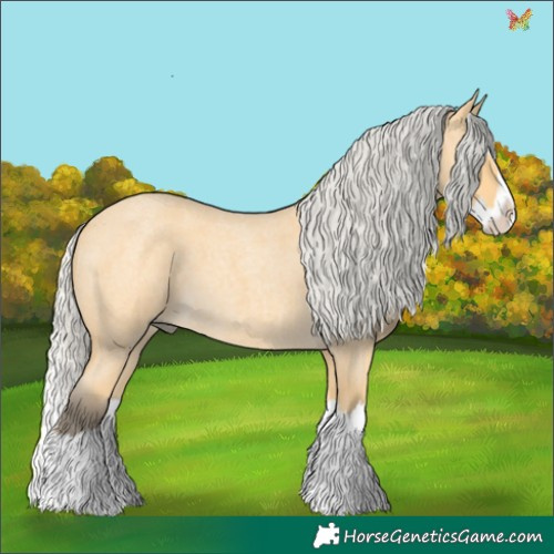 Horse Color:Silver Buckskin Roan Splash 