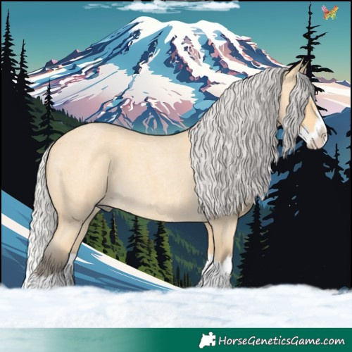 Horse Color:Silver Buckskin Roan Splash 
