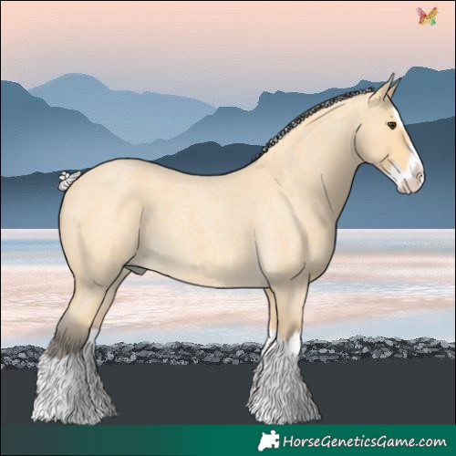 Horse Color:Silver Buckskin Roan Splash 