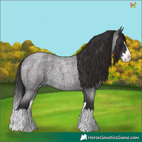 Horse Color:Smoky Blue Roan Splash 