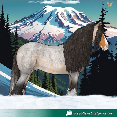 Horse Color:Buckskin Roan Splash 