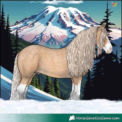 Horse Color:Palomino Roan Splash 
