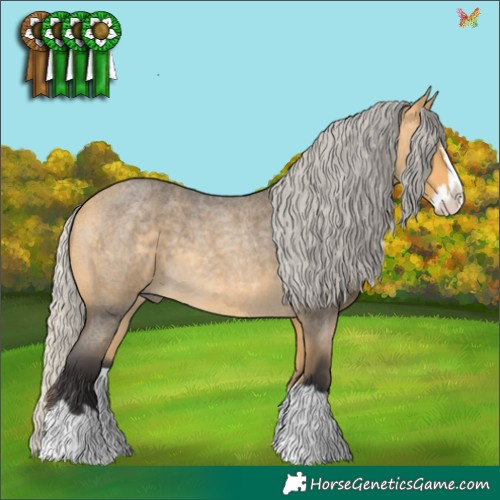 Horse Color:Silver Buckskin Roan Splash 