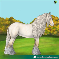 Horse Color:Palomino Roan Splash 