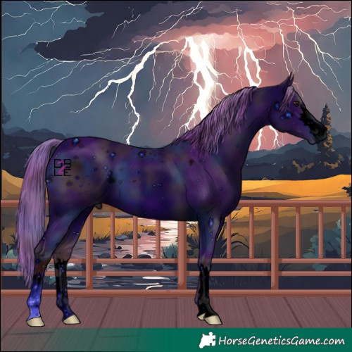 Horse Color:ERROR: UNKNOWN ANOMALY