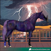 Horse Color:ERROR: UNKNOWN ANOMALY