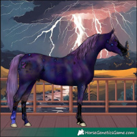 Horse Color:ERROR: UNKNOWN ANOMALY