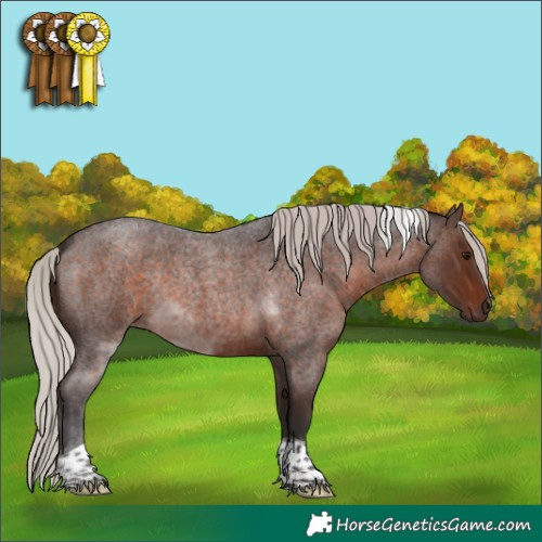 Horse Color:Silver Brown Roan Tobiano Rabicano 