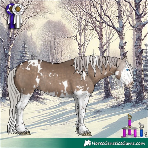 Horse Color:White Spotted Silver Brown Dun Splash Rabicano 