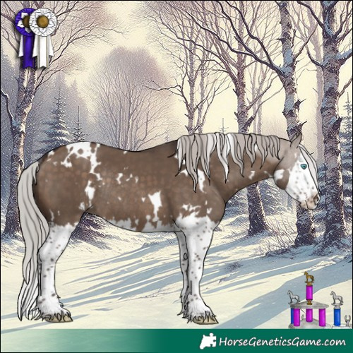 Horse Color:White Spotted Silver Brown Dun Splash Rabicano 