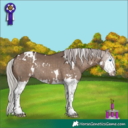 Horse Color:White Spotted Silver Brown Dun Splash Rabicano 