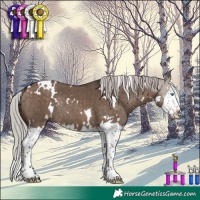Horse Color:White Spotted Silver Brown Dun Splash Rabicano