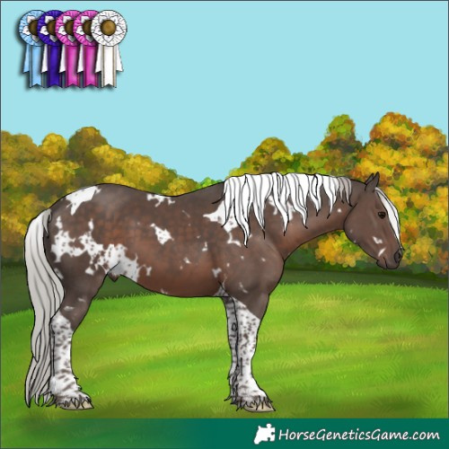 Horse Color:White Spotted Silver Black Tobiano 