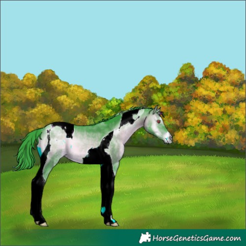Horse Color:Watercolor Brown Chinchilla Onyx Tobiano 