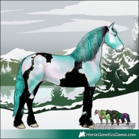 Horse Color:Watercolor Brown Chinchilla Onyx Tobiano
