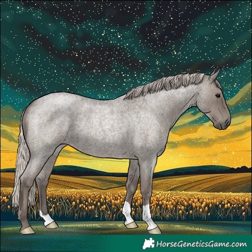 Horse Color:Silver Blue Roan 