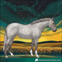 Horse Color:Silver Blue Roan 