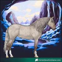 Horse Color:Silver Grullo Roan