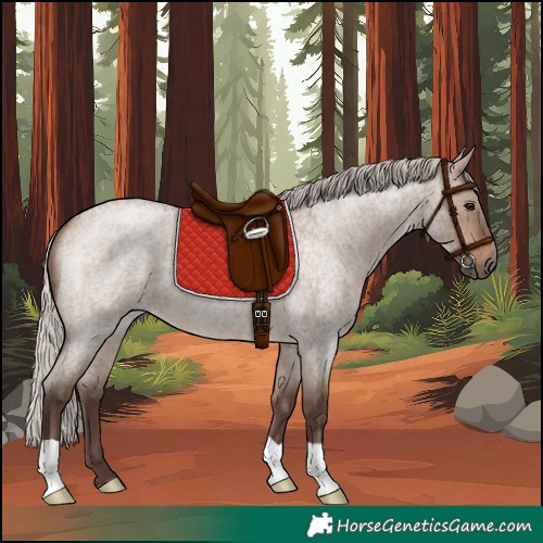 Horse Color:Silver Brown Roan Dun 