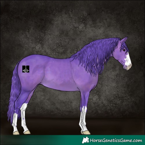 Horse Color:Watercolor Brown 