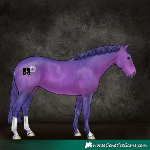 Horse Color:Watercolor Brown 