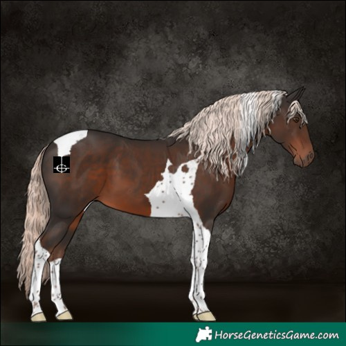 Horse Color:Liver Chestnut Mushroom Tobiano 
