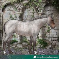 Horse Color:Silver Brown Roan