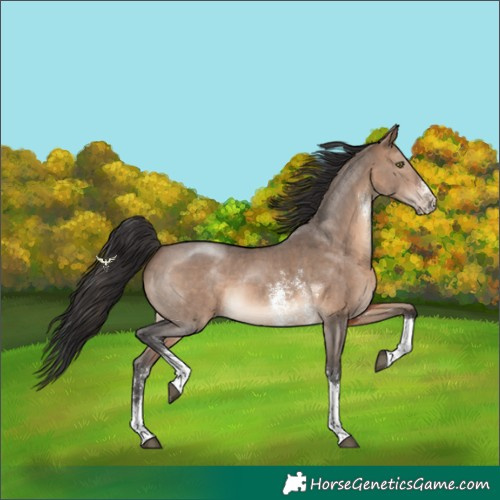 Horse Color:Brown Dun Sabino Tobiano 