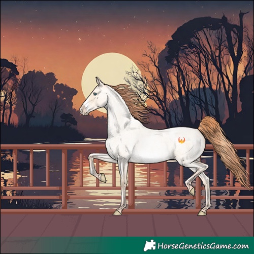 Horse Color:Classic Cream Champagne Roan Pearl Dun Sabino Frame 