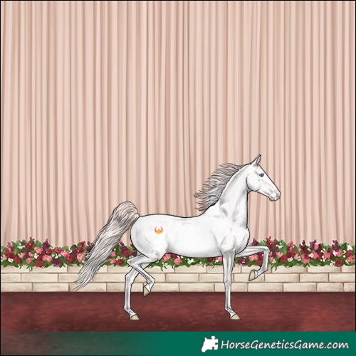 Horse Color:White Spotted Perlino Dun Blanket Rabicano 