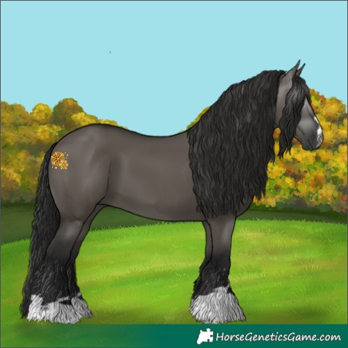 Horse Color:Gray Grullo 
