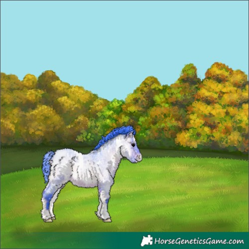 Horse Color:Watercolor White Spotted Brown Ice Roan Onyx Appaloosa 