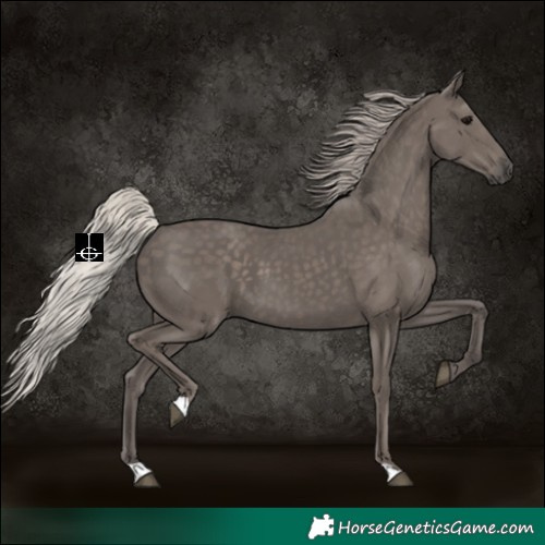 Horse Color:Silver Black