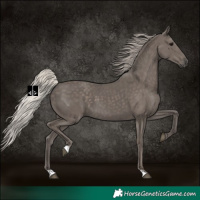 Horse Color:Silver Black 