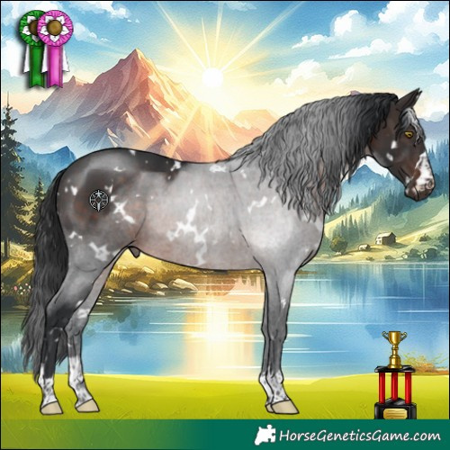 Horse Color:White Spotted Brown Rabicano 