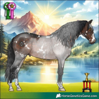 Horse Color:White Spotted Brown Rabicano 