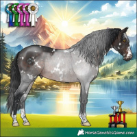 Horse Color:White Spotted Brown Rabicano 