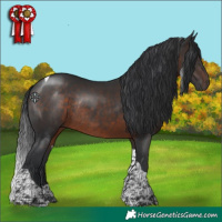 Horse Color:Brown Tobiano Rabicano