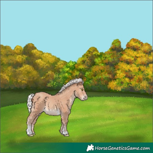 Horse Color:Silver Sable Champagne Tobiano Rabicano 