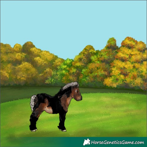 Horse Color:Gray Void Silver Brown Tobiano 