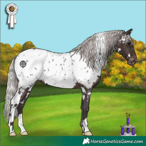 Horse Color:White Spotted Silver Brown Appaloosa 