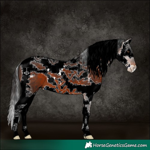 Horse Color:Brown Sabino Splash Tobiano 