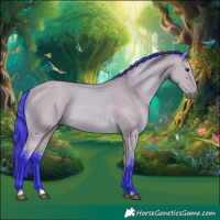 Horse Color:Watercolor Buckskin 