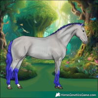 Horse Color:Watercolor Buckskin 