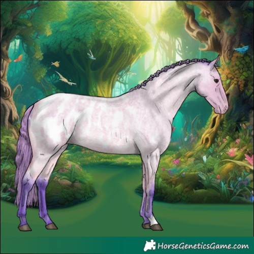 Horse Color:Watercolor Buckskin Roan Appaloosa 