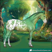 Horse Color:Watercolor Bay Sabino Appaloosa 
